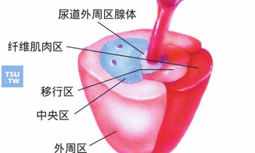 蜂腊功效网 - 网站提供蜂腊功效和作用小常识、蜂腊功效与作用及食用方法
